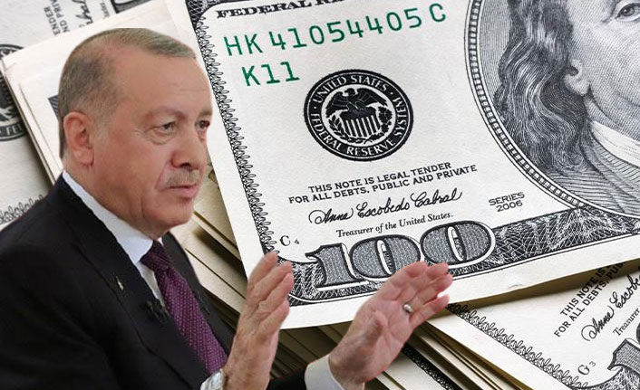 Ünlü ekonemistten Erdoğan'a 'rezerv' yanıtı
