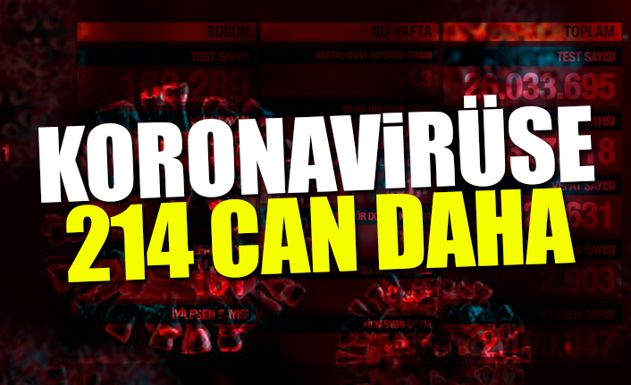 Türkiye'nin son koronavirüs tablosu...