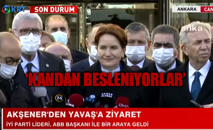 Akşener'den AKP'li vekillere: Başkanlarına karşı duydukları gıcıklığı bize döktüler