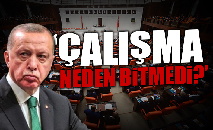 Erdoğan'dan AKP yöneticilerine tepki: Bu adamları neden konuşturuyorsunuz?