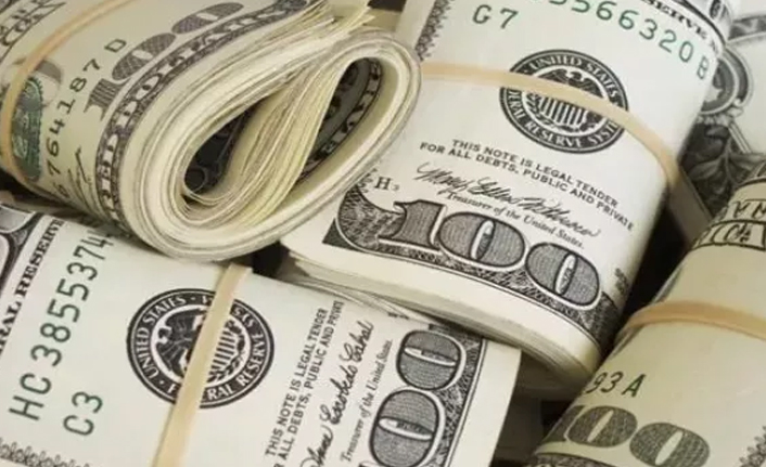 Merkez Bankası'ndan BOTAŞ'a rekor dolar satışı