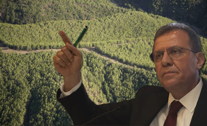 Mersin Belediye Başkanı Seçer'den orman düzenlemesine tepki