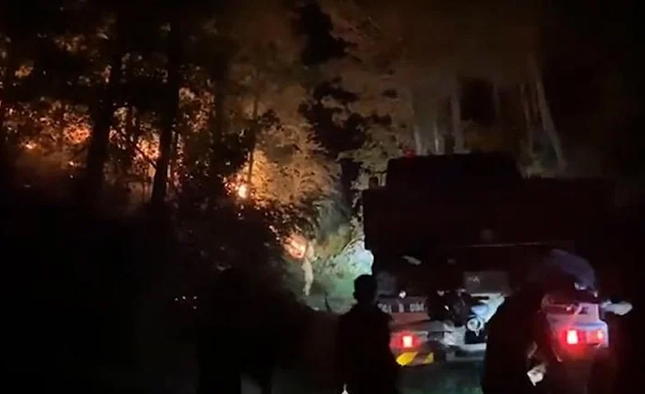 Adana'da orman yangını: 3 saat sonunda kontrol altına alındı