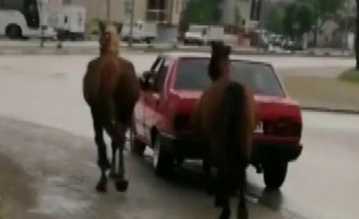 Aracına iple bağladığı 2 atı otomobille çeken sürücüye ceza