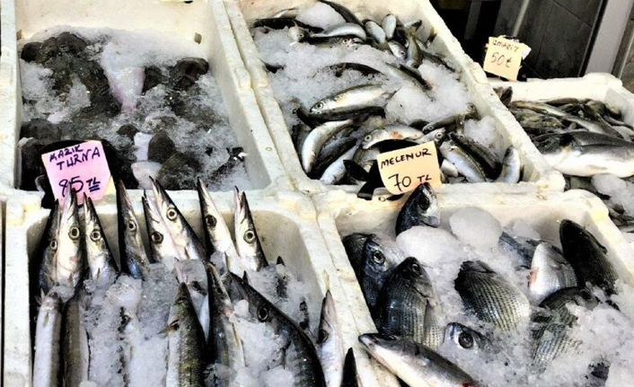 Balık fiyatları el yakıyor 