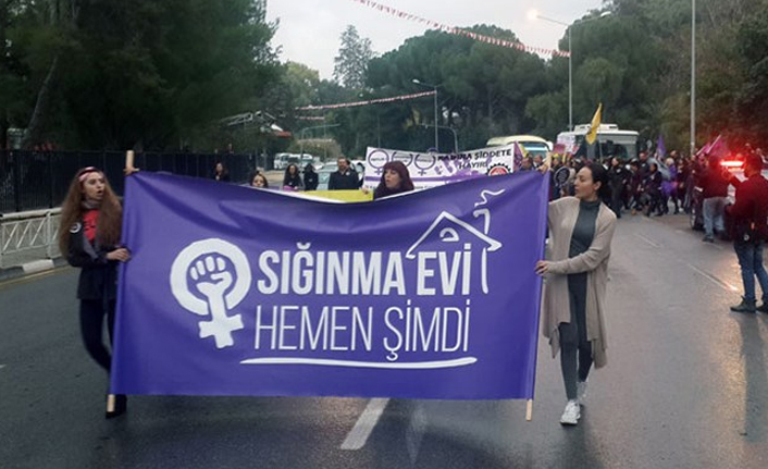 CHP'li vekil kadın sığınaklarını Meclis gündemine taşıdı