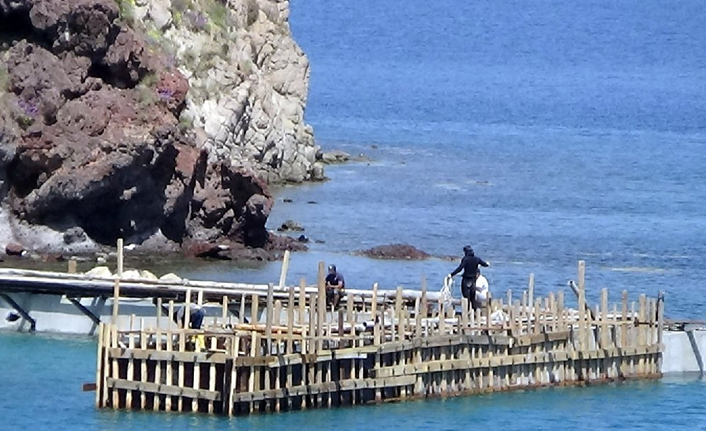 Lüks otel Akdeniz foklarının barınma alanına beton döktü