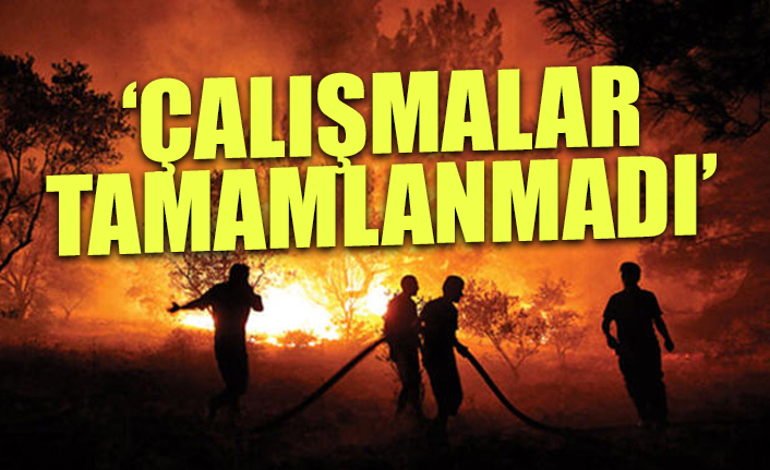Orman yangınlarından ne kadar ders alındı? Uzmanından kritik uyarılar