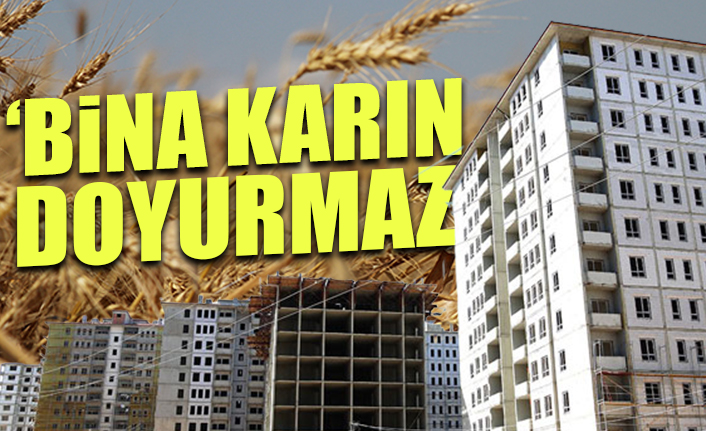 Skandal karar! Türk tarımının omurga arazisine TOKİ