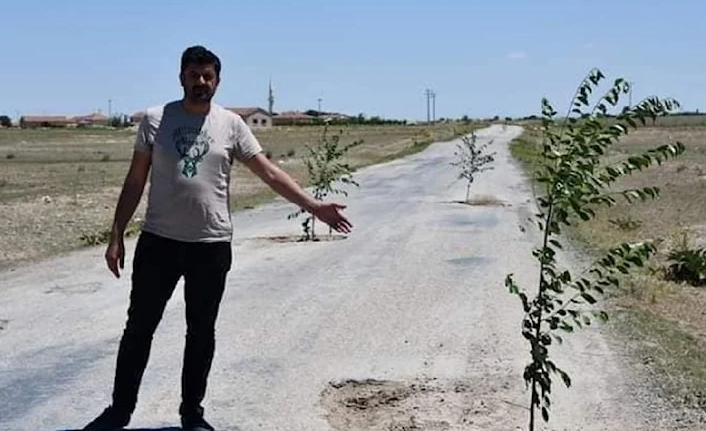 AKP'li belediye başkanından bozuk yola ağaç diken vatandaşlar hakkında suç duyurusu