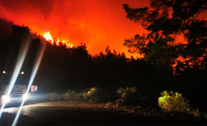 EGM'den Marmaris'teki orman yangını hakkında suç unsuru taşıyan paylaşımlara ilişkin açıklama