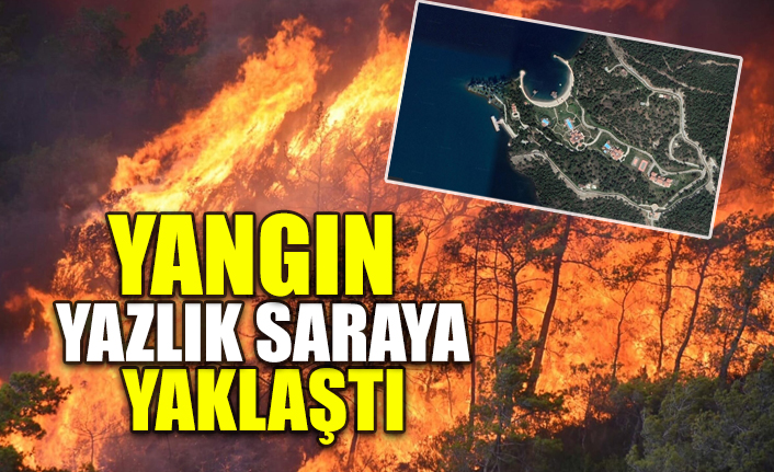 Marmaris'teki orman yangınında 4 bin hektar kül oldu