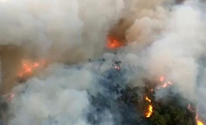 Marmaris'teki Orman yangınıyla ilgili soruşturma başlatıldı 