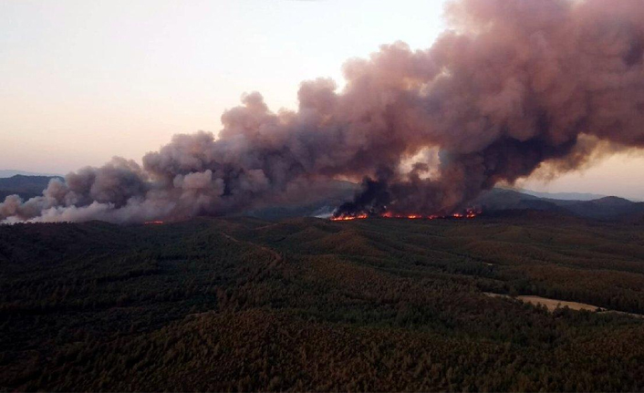 Orman yangınında koruma alanının yüzde 20’si yandı