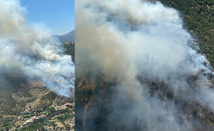 İzmir'de iki ayrı yerde orman yangını