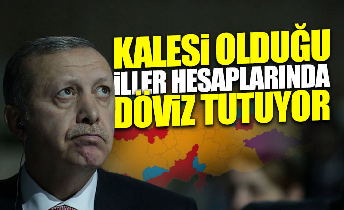 Erdoğan'ın 'Yastık altındaki dövizinizi bozdurun' çağrısını kendi seçmeni bile dikkate almadı