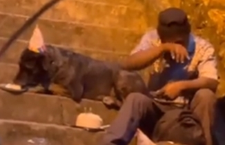 Yürek burkan görüntüler: Doğum gününü sokak köpekleriyle kutladı